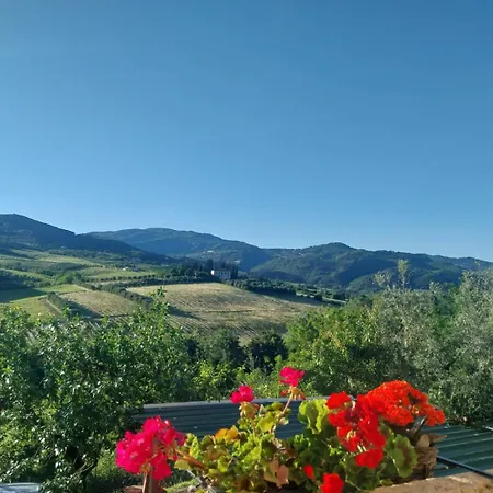 Nel Chianti Vicino Firenze *